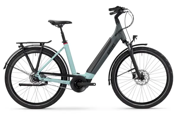 Ashford R625 Low 8-G Nexus RT