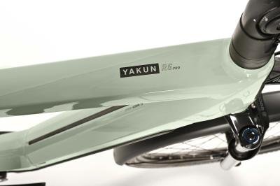 Winora YAKUN R5 PRO UNISEX i750Wh 5-G Nexus   24 Winora BCXK pistachio gloss Rh 45 Produktbild 3