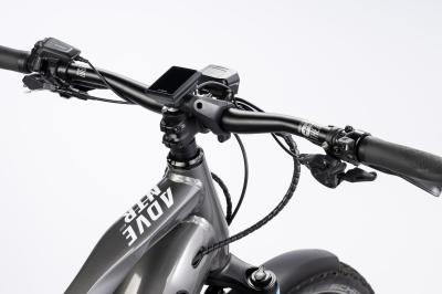 Haibike ADVENTR 11 ABS i800Wh 12-G XT   25-26 HB BCXK GL_grey acacia Rh S 41 Produktbild 4