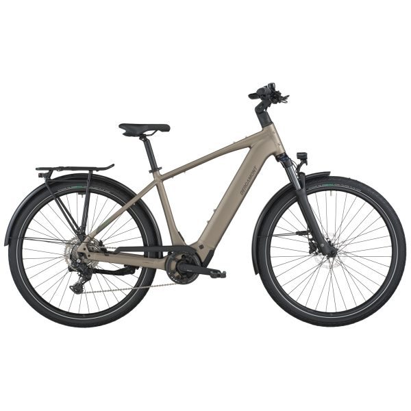 Bergamont E-Horizon Sport 30 - warm silver - L