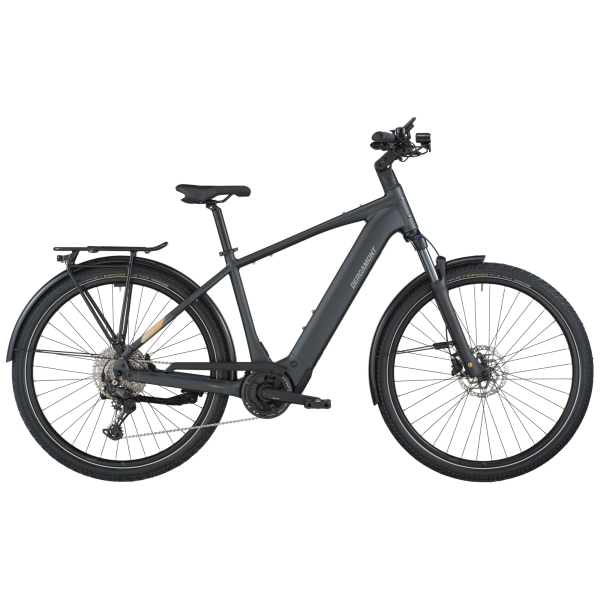 Bergamont E-Horizon Sport 20 - flaky black - XL