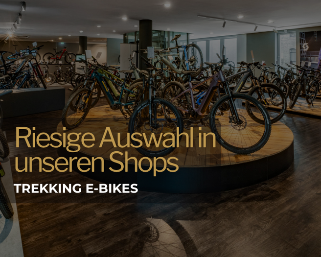 Fahrradfahrer schiebt Trekking E-BIKE &uuml;ber eine Wiese