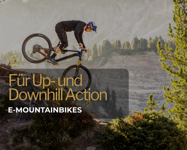 E-Mountainbikefahrer auf dem Trail