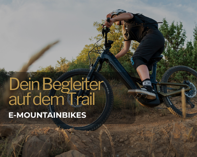 E-Mountainbikefahrer auf dem Trail