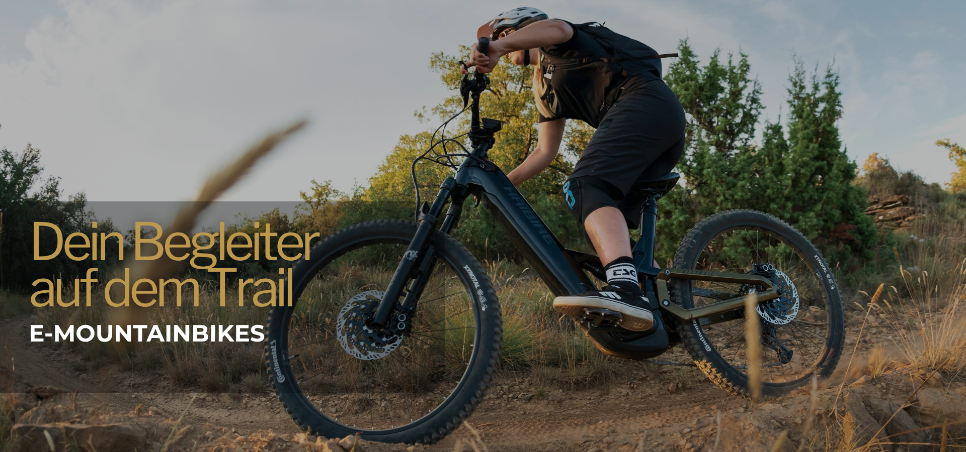 Mountainbike Fahrer auf dem Trail