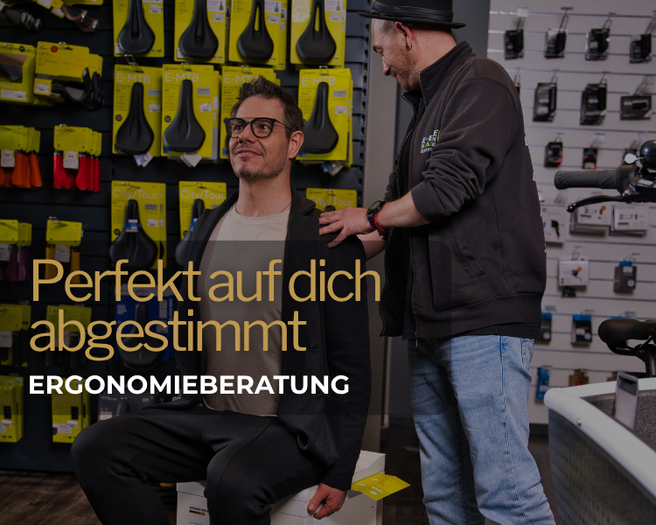 E-BIKE Auswahl in einem E-BIKE KASTEN Store
