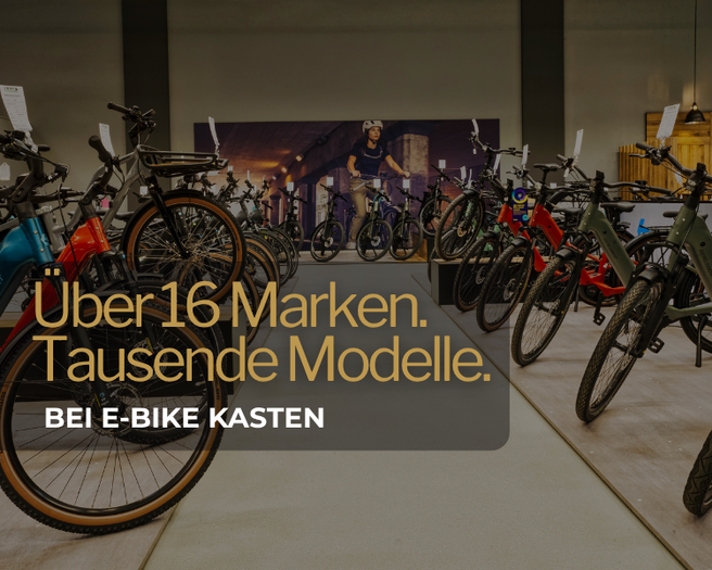 E-BIKE Auswahl in einem E-BIKE KASTEN Store