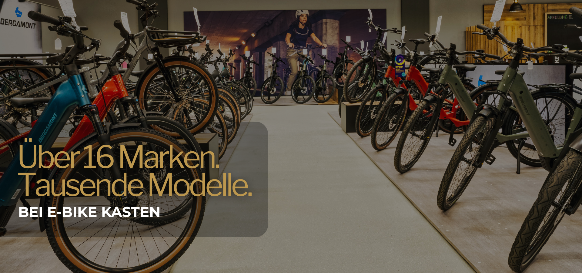 E-BIKE Auswahl in einem E-BIKE KASTEN Store