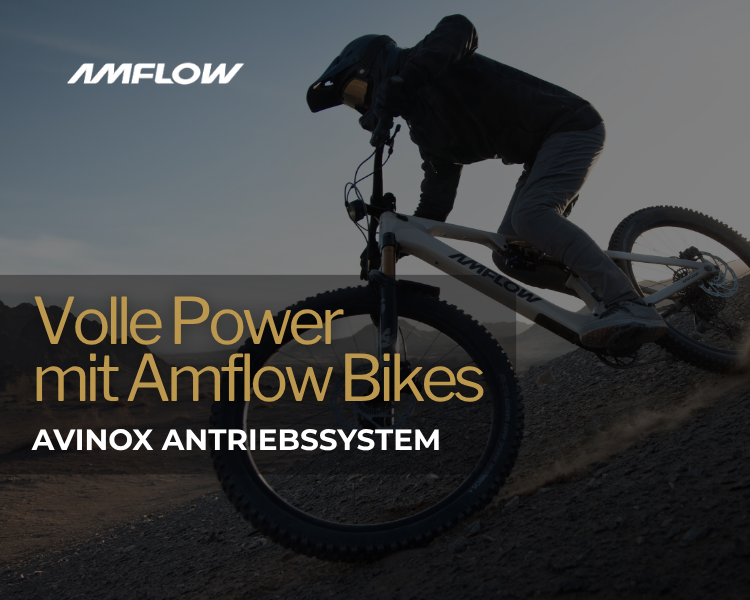 AVINOX Antriebssystem