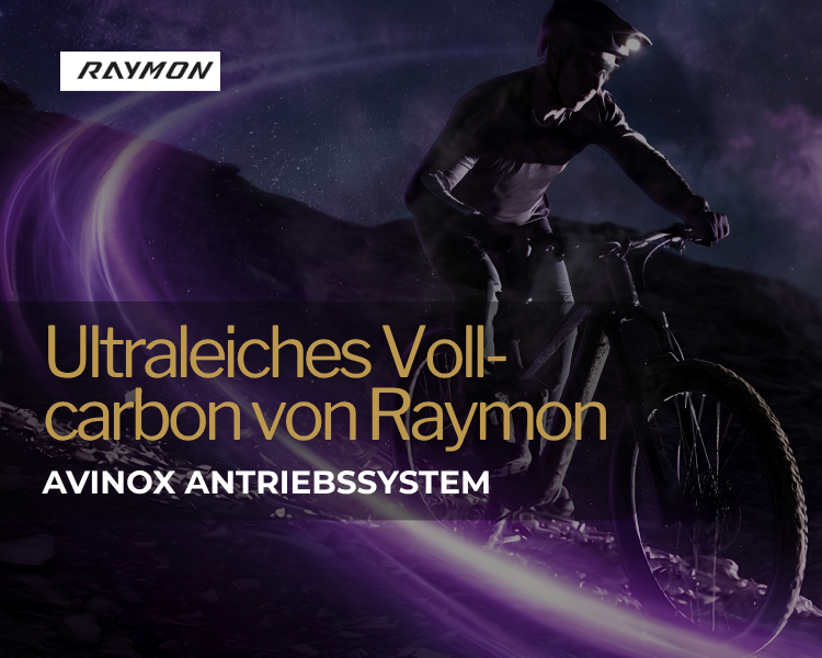 AVINOX Antriebssystem