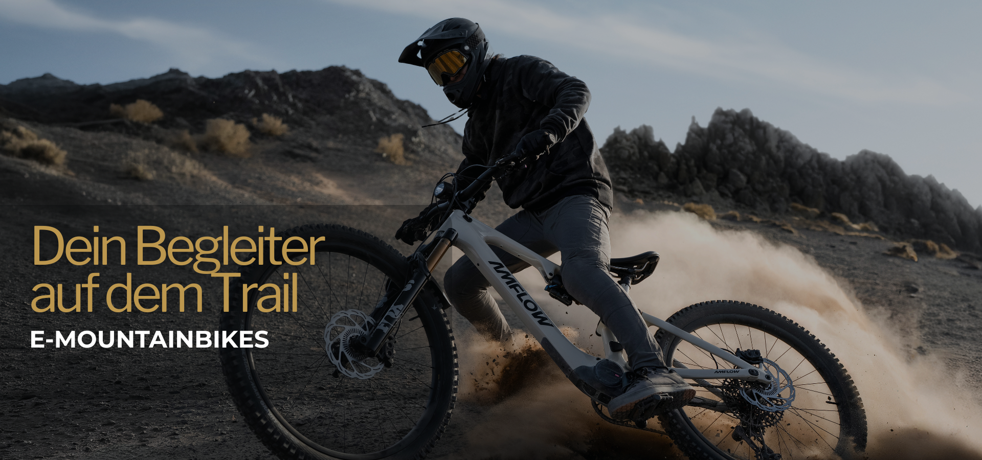 Mountainbike Fahrer auf dem Trail