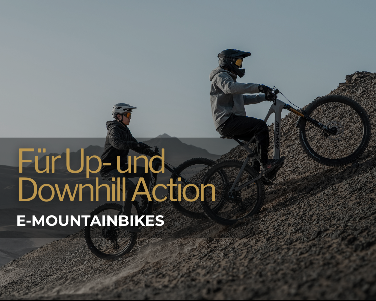 E-Mountainbikefahrer auf dem Trail