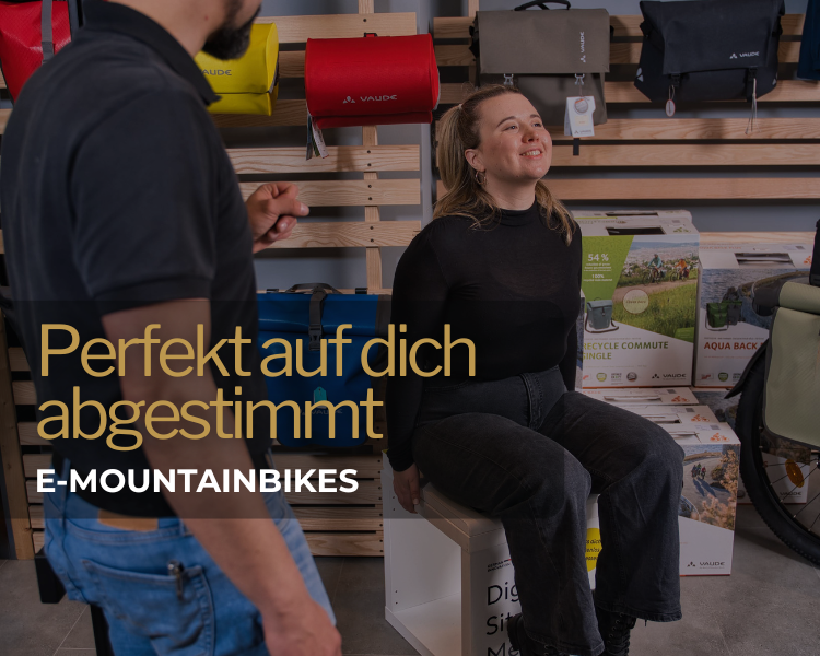 E-Mountainbikefahrer auf dem Trail