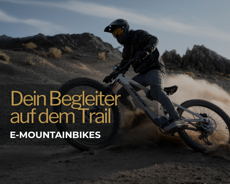 E-Mountainbikefahrer auf dem Trail
