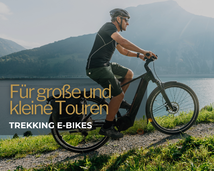 Fahrradfahrer schiebt Trekking E-BIKE &uuml;ber eine Wiese