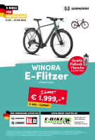 Winora E-Flitzer i250Wh 10-G Deore
