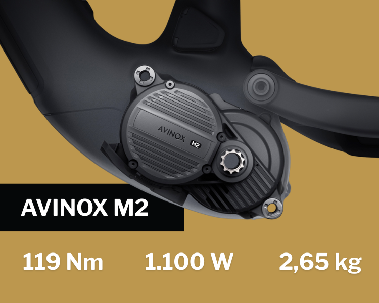 AVINOX_M2.png