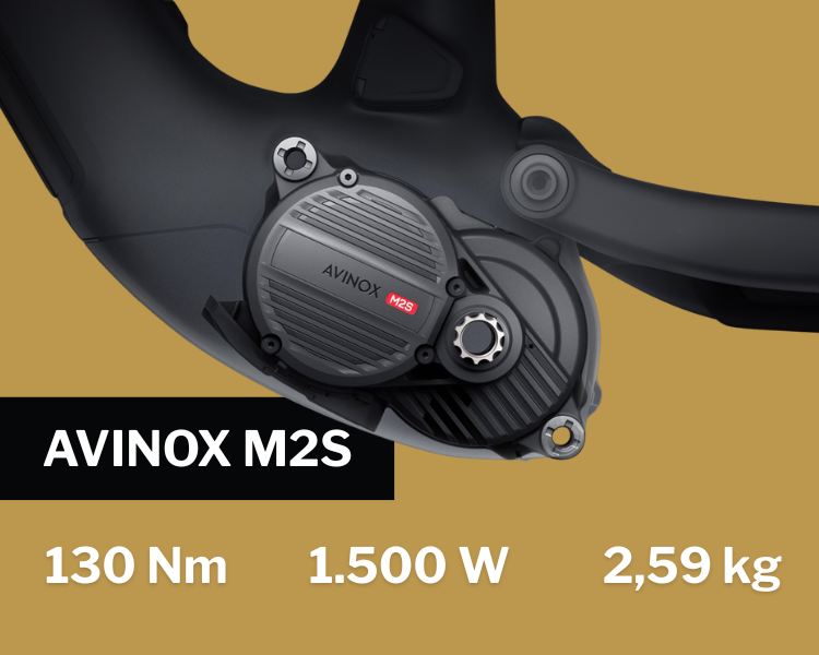 AVINOX_M2S.png